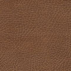 F. Schumacher Brisa Soleil Distressed Lasso 396-3972 Ultraleather Collection