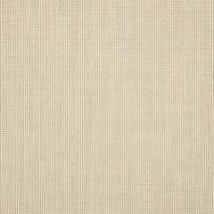 Sunbrella Icon Volt Sand 58018-0000 Upholstery Fabric