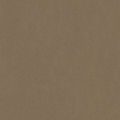 Kravet Statuesque Taupe 34328-1611 Indoor Upholstery Fabric