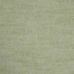 F Schumacher Camarillo Weave  Leaf 73876 Perfect Basics: Indoor/Outdoor Collection Upholstery Fabric