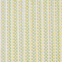 F Schumacher Rustic Basketweave Leaf 73883 The Good Life Indoor/Outdoor Collection Upholstery Fabric