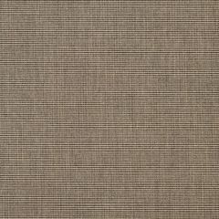 Sunbrella Canvas Flint 14090-0000 Perspectives Collection Upholstery Fabric