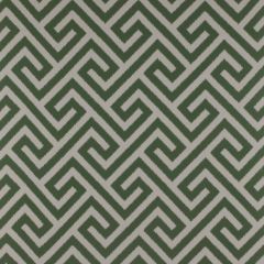 Gaston Y Daniela Trevi Verde GDT5337-1 Tierras Collection Multipurpose Fabric