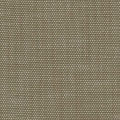 Perennials Rough 'n Rowdy Fawn 955-245 Beyond the Bend Collection Upholstery Fabric