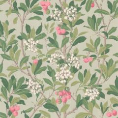 Cole and Son Strawberry Tree Pink and Duck Egg 100-10048 Archive Anthology Collection Wall Covering