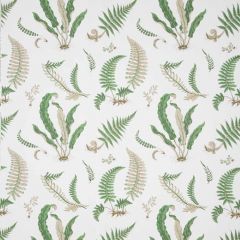 Lee Jofa 31032-1 Perennia Collection Multipurpose Fabric