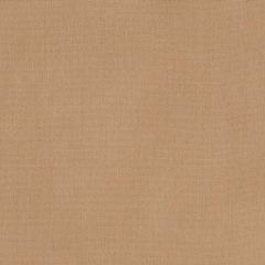 Sunbrella Canvas Raffia 14107-0000 Upholstery Fabric