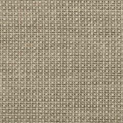 Kravet Design 35642-1611 Indoor Upholstery Fabric