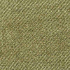 Robert Allen Edenderry-Peridot 141567 Decor Upholstery Fabric