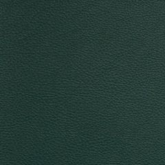 Aura Retreat Spruce SCL-202 Upholstery Fabric