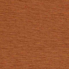 Robert Allen Contract Plain Elegance-Brandy II 215375 Decor Multi-Purpose Fabric