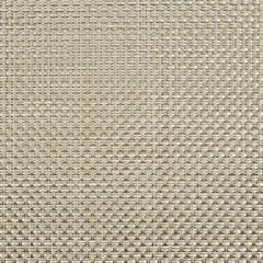 Phifertex Cane Oyster OFE 54-inch Cane Wicker Collection Sling Upholstery Fabric
