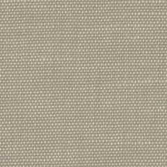 Perennials Rough 'N Rowdy R-Linen 955-421 Beyond the Bend Collection Upholstery Fabric