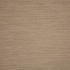 Sunbrella Pueblo Dune 50202-0002 Sling Upholstery Fabric