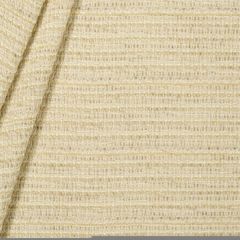 Robert Allen Multi Chenille Pearl 239862 Tonal Chenilles Collection Indoor Upholstery Fabric