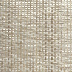 Winfield Thybony Paperweave WT WBG5117 Wall Covering
