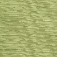 Robert Allen Contract In The Groove-Neva Green 244110 Decor Upholstery Fabric
