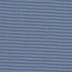 Robert Allen Vista Weave Rain 232555 Color Library Collection Indoor Upholstery Fabric