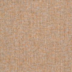 Robert Allen Modern Tweed Sandstone 247016 Tweedy Textures Collection Indoor Upholstery Fabric