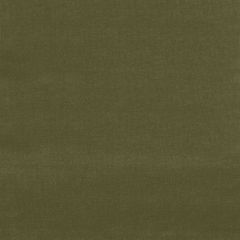 F Schumacher Gainsborough Velvet Dark Olive 42867 Indoor Upholstery Fabric