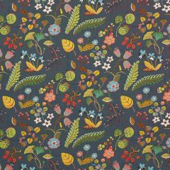 F Schumacher Botanica  Charcoal 75941 Indoor/Outdoor Recolors Collection Upholstery Fabric