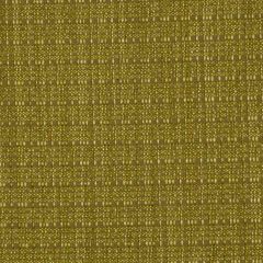 Robert Allen Contract New Texture Spring 181625 Indoor Upholstery Fabric