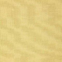 F Schumacher Gweneth Linen Limeade 64496 Indoor Upholstery Fabric