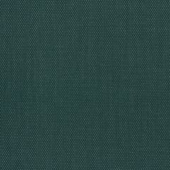Phifertex Plus Holly Green CL1 54-inch Sling Upholstery Fabric