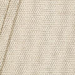 Robert Allen Gem Chenille Pearl 239867 Tonal Chenilles Collection Indoor Upholstery Fabric