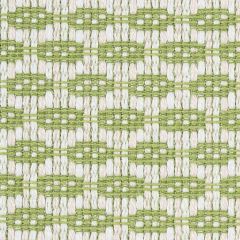 F Schumacher Hickox  Leaf 76654 Indoor/Outdoor Recolors Collection Upholstery Fabric