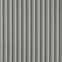 Duralee Multi DW16300-215 Pavilion Indoor/Outdoor Portico Stripes and Solids Collection Upholstery Fabric