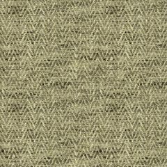 Kravet Basics 34092-1611 Rustic Cottage Collection Multipurpose Fabric