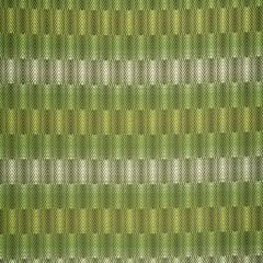 Robert Allen Contract Ombre View Lime 242048 Color Library Collection Indoor Upholstery Fabric