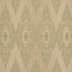 Robert Allen Siam Garden Moss 255668 Enchanting Color Collection Indoor Upholstery Fabric