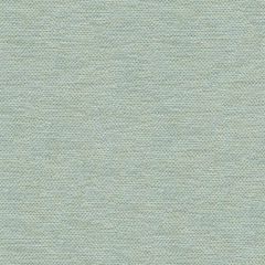 Lee Jofa Sagaponack Ice Blue 2014128-15 by James Huniford Indoor Upholstery Fabric