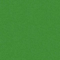 Kravet Design Bleeker Picnic Green 33779-3 Classics Collection Indoor Upholstery Fabric