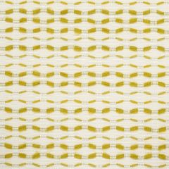 F Schumacher Branford  Lime 78543 Indoor/Outdoor Recolors Collection Upholstery Fabric