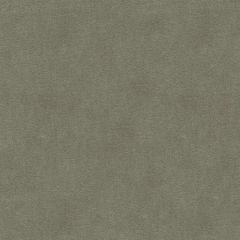 Kravet Basics Grey 33299-106 Multipurpose Fabric