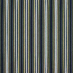 Robert Allen Contract Palace Stripe Midnight 140627 Indoor Upholstery Fabric