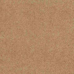 Robert Allen Eye Shadow-Cork 218269 Decor Multi-Purpose Fabric