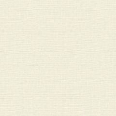 Kravet Basics White 33771-101 Perfect Plains Collection Multipurpose Fabric