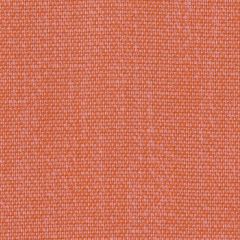 Perennials Rough 'n Rowdy Melon 955-231 Beyond the Bend Collection Upholstery Fabric