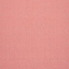 F Schumacher Ispa Hand Woven Plain Blush 78871 by A Rum Fellow Indoor Upholstery Fabric