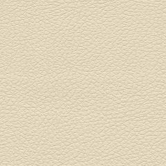 F. Schumacher Brisa Cream 303-3863 Ultraleather Collection