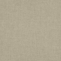 Robert Allen Refined Boucle Driftwood 260895 Boucle Textures Collection Indoor Upholstery Fabric