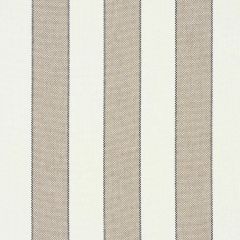 F Schumacher Blumont Stripe  Stone 79051 Indoor Outdoor Prints and Wovens Collection Upholstery Fabric