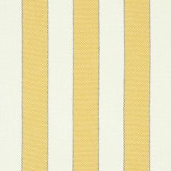 F Schumacher Blumont Stripe  Yellow 79052 Indoor Outdoor Prints and Wovens Collection Upholstery Fabric
