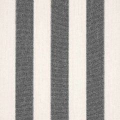 F Schumacher Blumont Stripe  Charcoal 79054 The Good Life Indoor/Outdoor Collection Upholstery Fabric