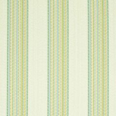 F Schumacher Bendita Stripe  Leaf 79150 Indoor Outdoor Prints and Wovens Collection Upholstery Fabric