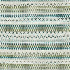 F Schumacher Fremont  Green 79192 The Good Life Indoor/Outdoor Collection Upholstery Fabric